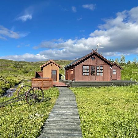 Dalsmynni Villa Blaskogabyggd Eksteriør bilde