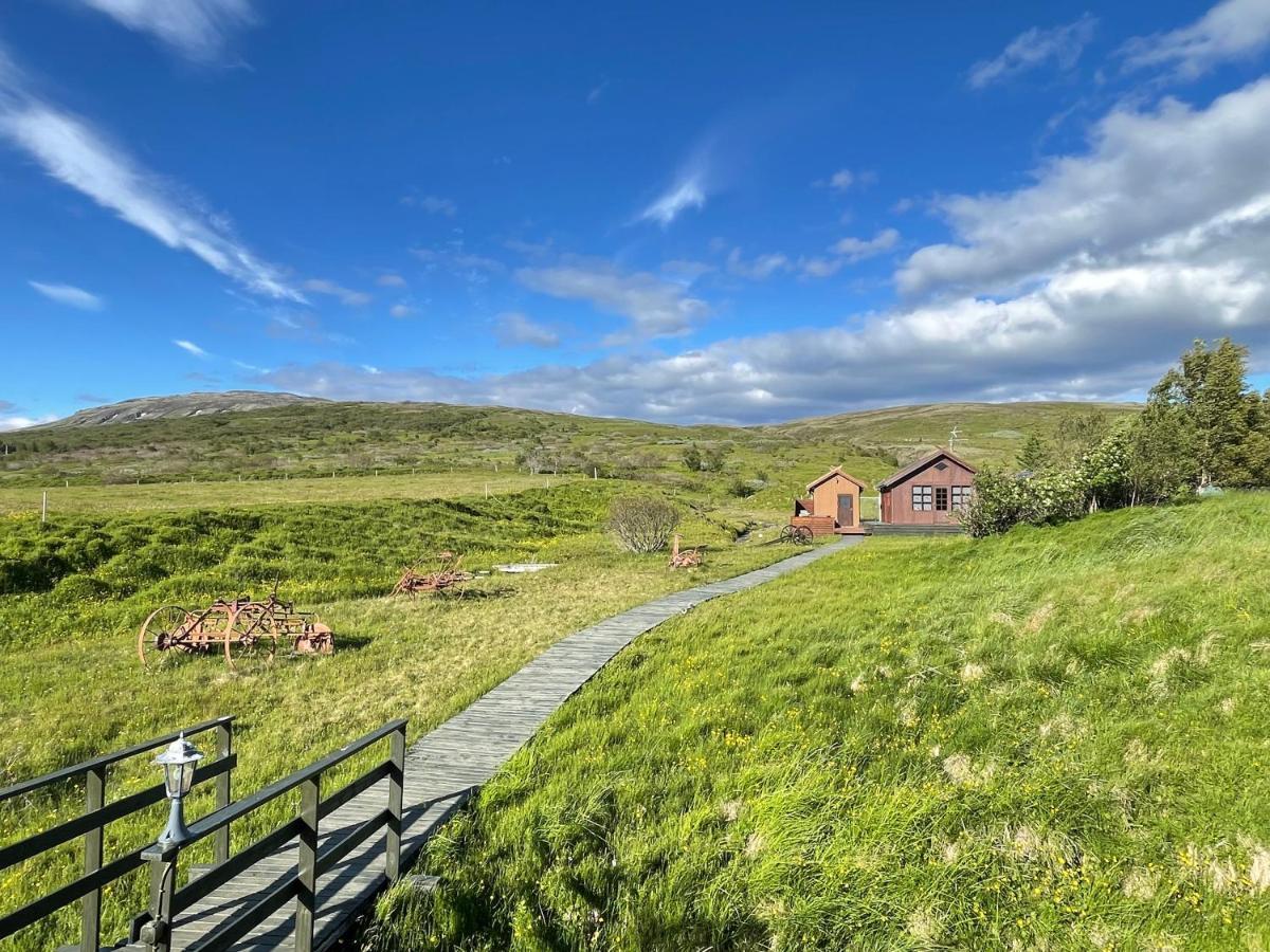 Dalsmynni Villa Blaskogabyggd Eksteriør bilde