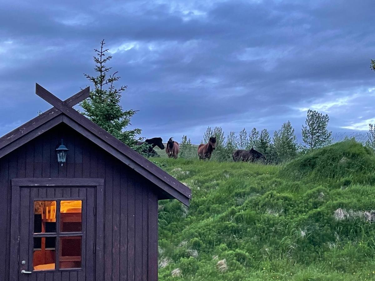 Dalsmynni Villa Blaskogabyggd Eksteriør bilde